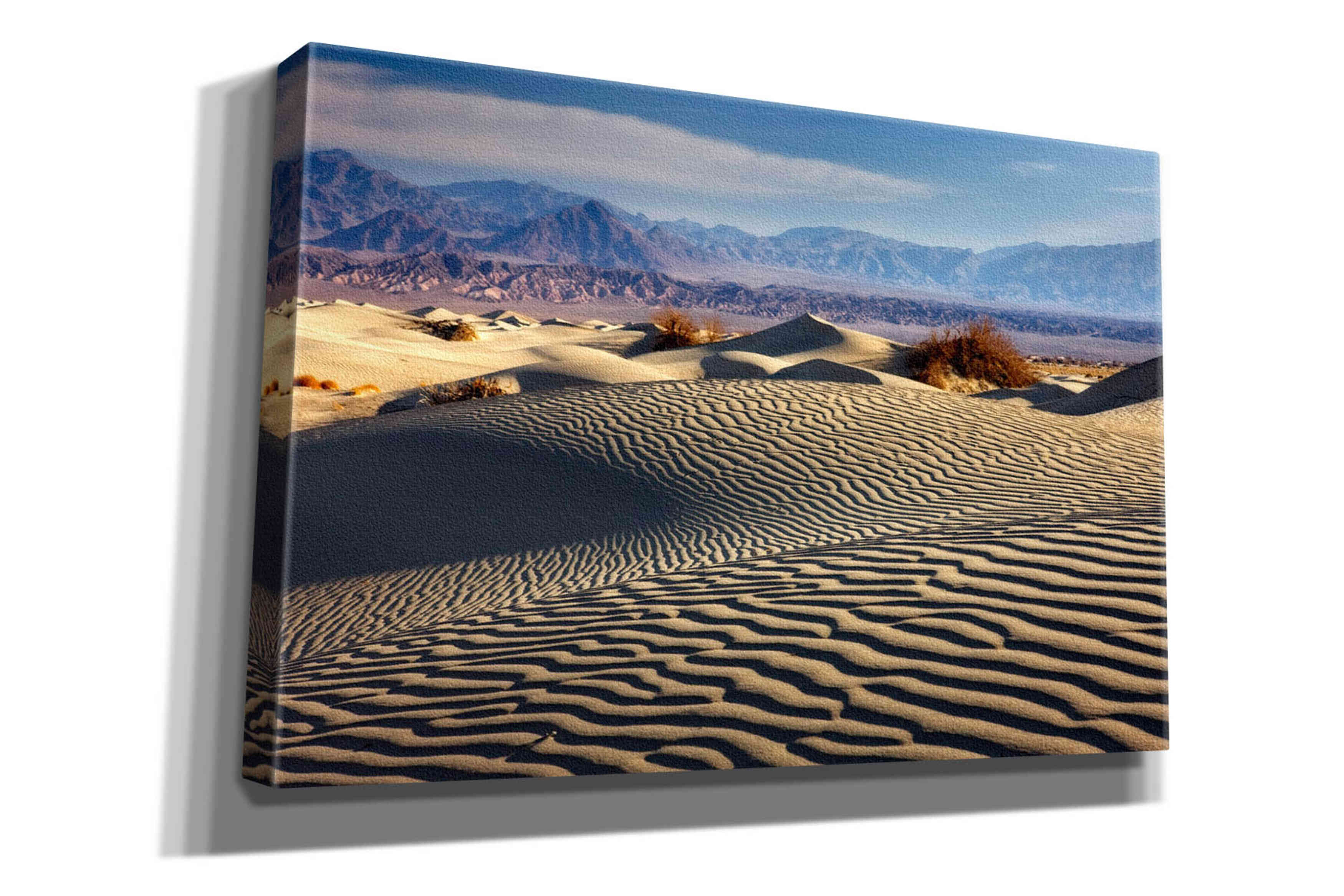 'Death Valley Mesquite Dunes' by Mike Jones, Giclee Canvas Wall Art