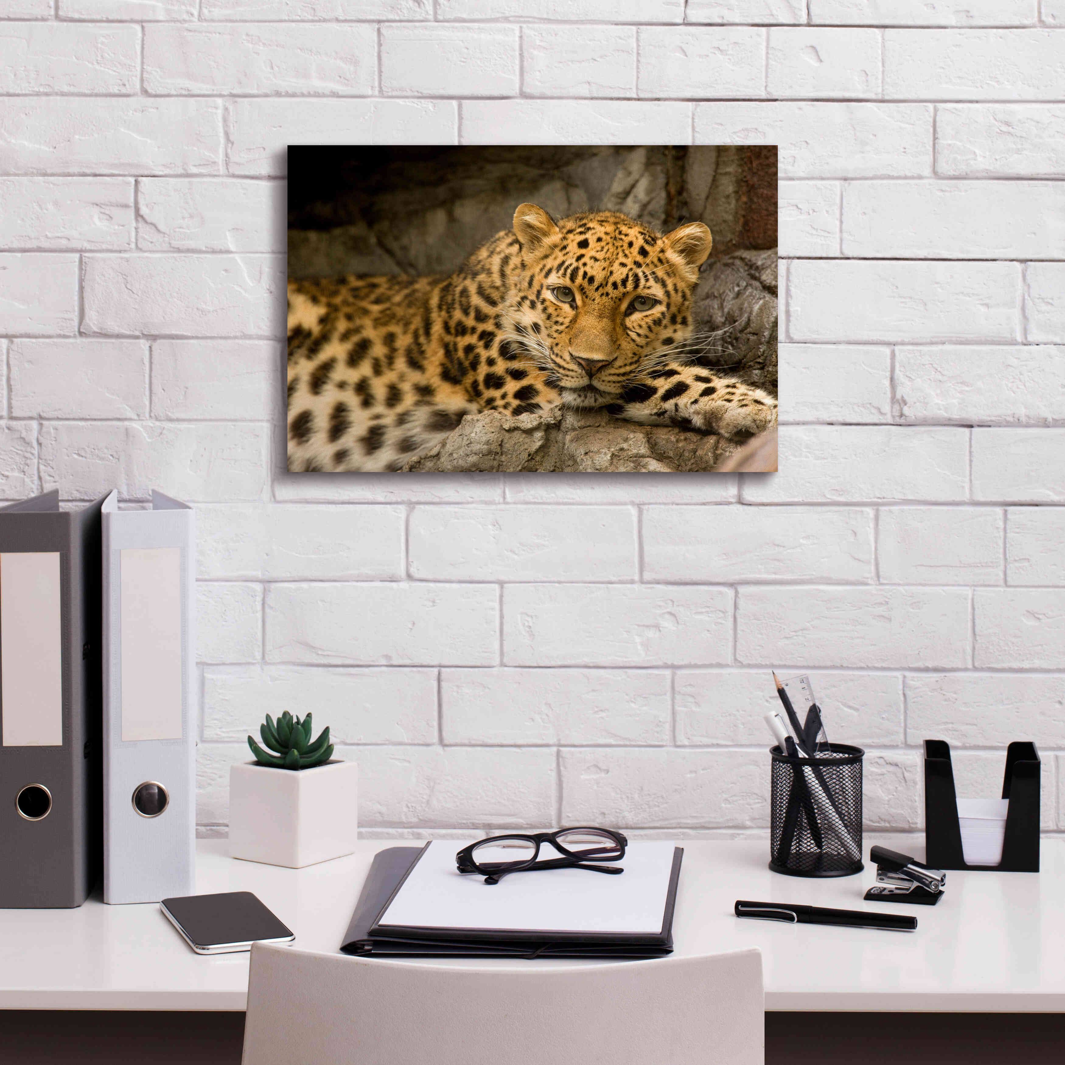 'Denver Zoo Snow Leopard' by Mike Jones, Giclee Canvas Wall Art,18 x 12