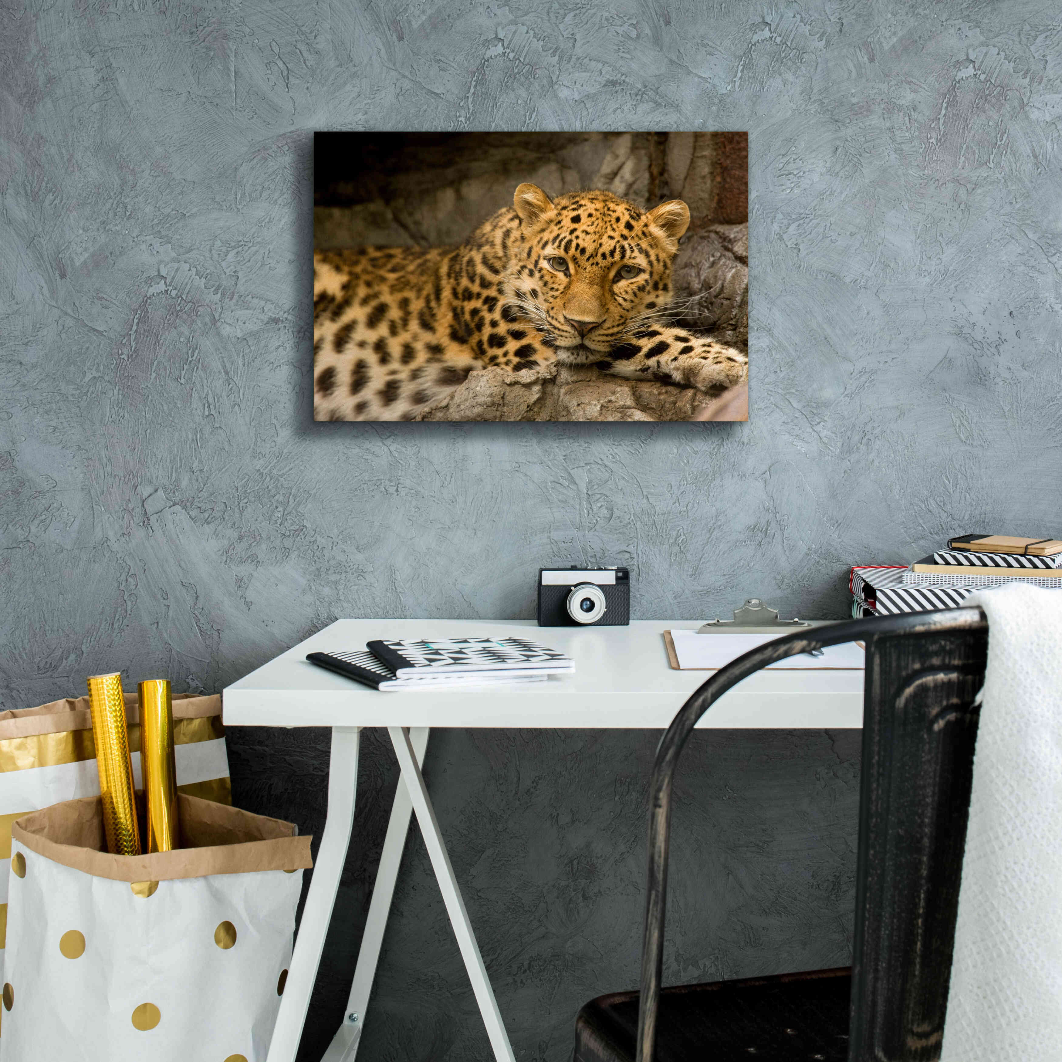'Denver Zoo Snow Leopard' by Mike Jones, Giclee Canvas Wall Art,18 x 12