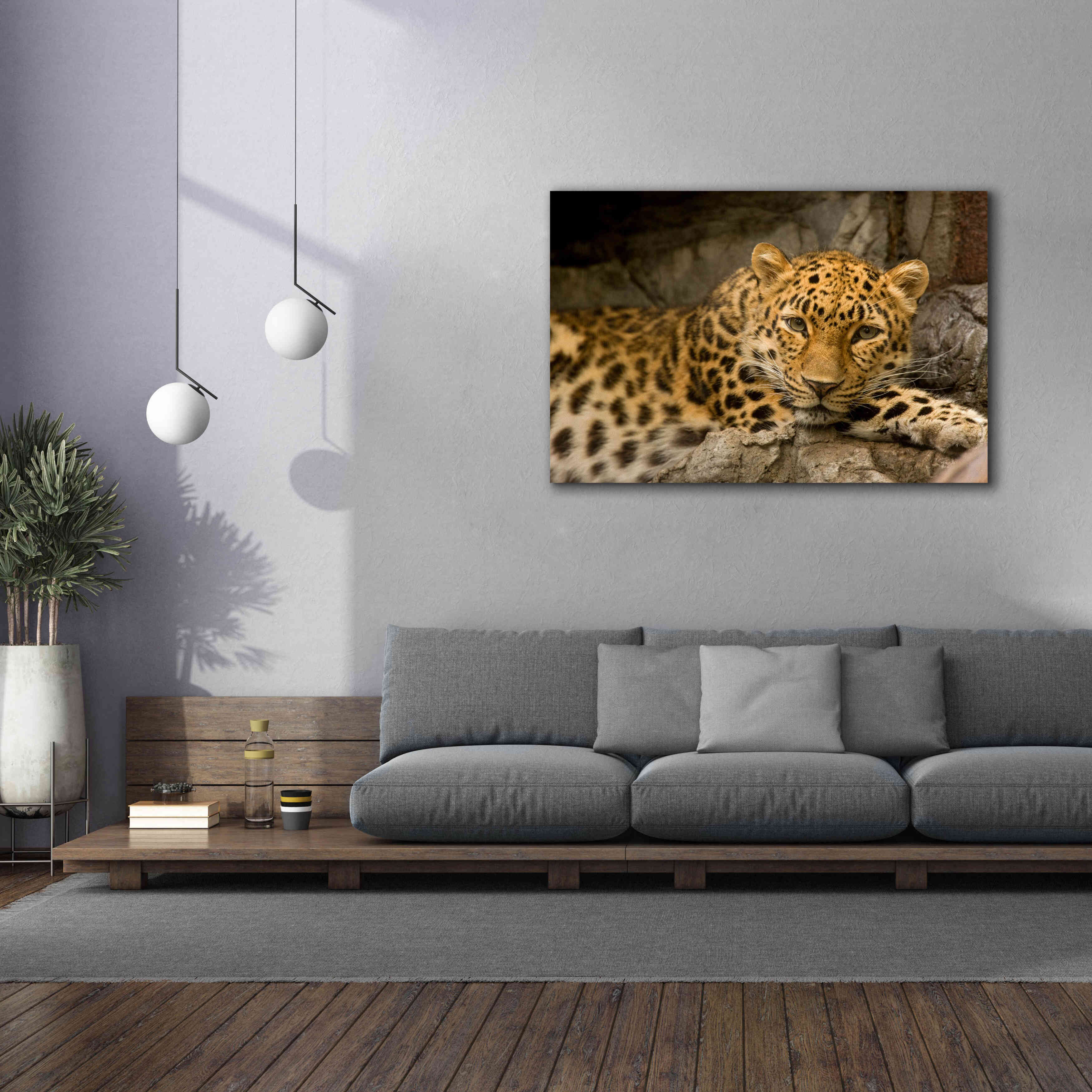 'Denver Zoo Snow Leopard' by Mike Jones, Giclee Canvas Wall Art,60 x 40