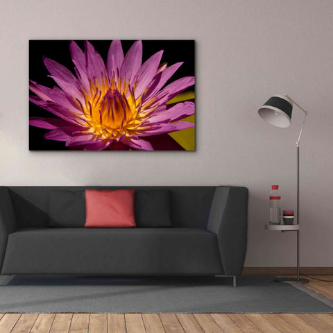 Image of 'Fairchild Gardens Lily' by Mike Jones, Giclee Canvas Wall Art,60 x 40