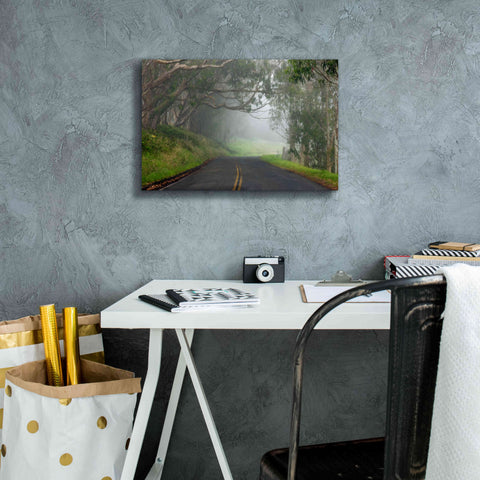 Image of 'Foggy Road near Dillon Beach' by Mike Jones, Giclee Canvas Wall Art,18 x 12