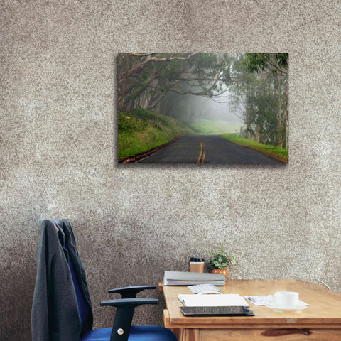 Image of 'Foggy Road near Dillon Beach' by Mike Jones, Giclee Canvas Wall Art,40 x 26