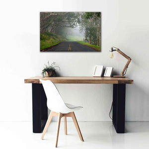 'Foggy Road near Dillon Beach' by Mike Jones, Giclee Canvas Wall Art,40 x 26
