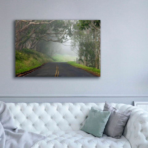 Image of 'Foggy Road near Dillon Beach' by Mike Jones, Giclee Canvas Wall Art,60 x 40