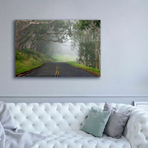 'Foggy Road near Dillon Beach' by Mike Jones, Giclee Canvas Wall Art,60 x 40