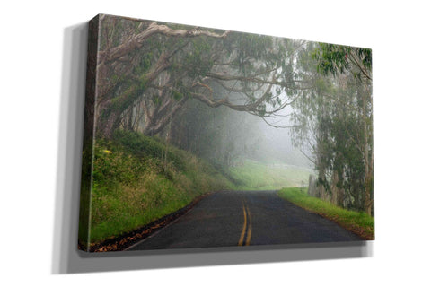 Image of 'Foggy Road near Dillon Beach' by Mike Jones, Giclee Canvas Wall Art
