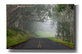 'Foggy Road near Dillon Beach' by Mike Jones, Giclee Canvas Wall Art