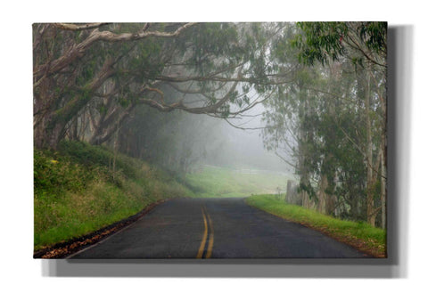 Image of 'Foggy Road near Dillon Beach' by Mike Jones, Giclee Canvas Wall Art