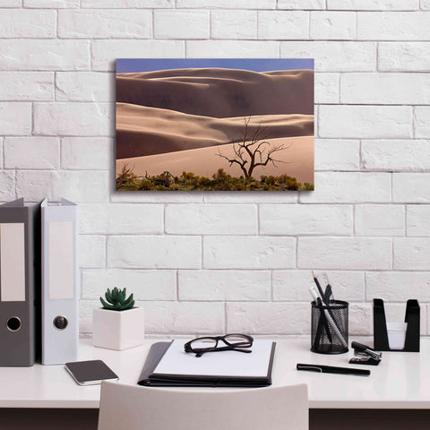 Image of 'Great Sand Dunes NP Tree' by Mike Jones, Giclee Canvas Wall Art,18 x 12
