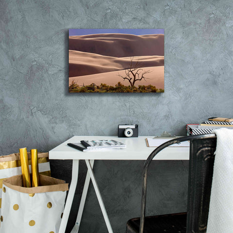 Image of 'Great Sand Dunes NP Tree' by Mike Jones, Giclee Canvas Wall Art,18 x 12