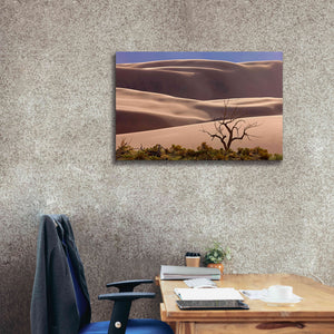 'Great Sand Dunes NP Tree' by Mike Jones, Giclee Canvas Wall Art,40 x 26