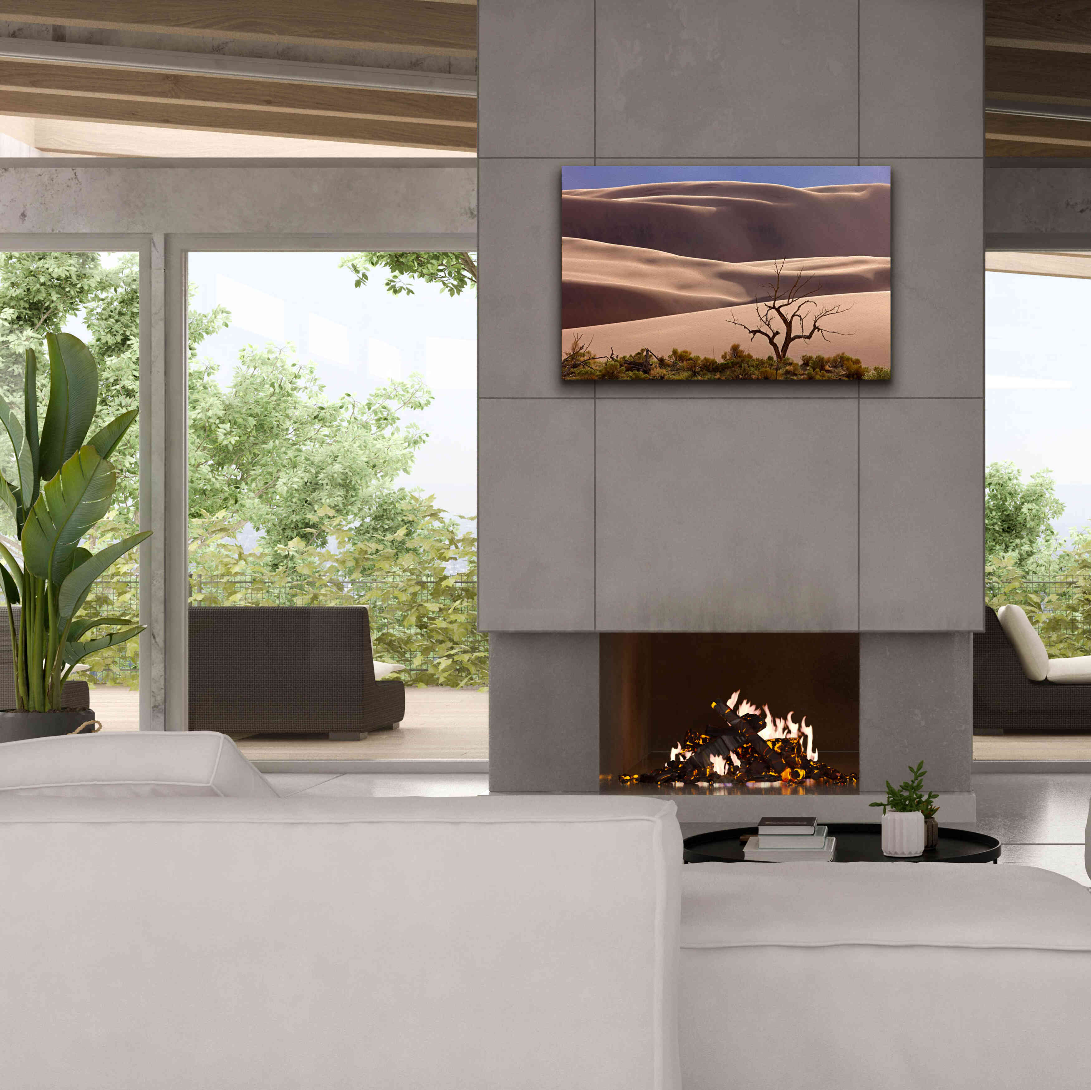 'Great Sand Dunes NP Tree' by Mike Jones, Giclee Canvas Wall Art,40 x 26