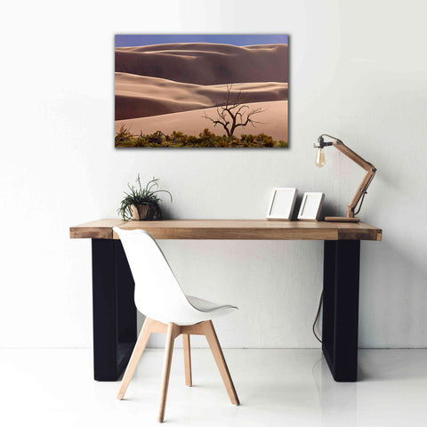 Image of 'Great Sand Dunes NP Tree' by Mike Jones, Giclee Canvas Wall Art,40 x 26