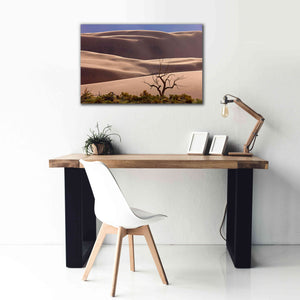 'Great Sand Dunes NP Tree' by Mike Jones, Giclee Canvas Wall Art,40 x 26