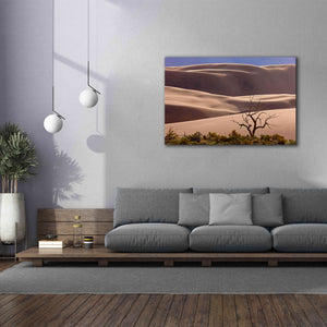 'Great Sand Dunes NP Tree' by Mike Jones, Giclee Canvas Wall Art,60 x 40