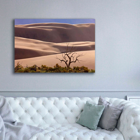 Image of 'Great Sand Dunes NP Tree' by Mike Jones, Giclee Canvas Wall Art,60 x 40