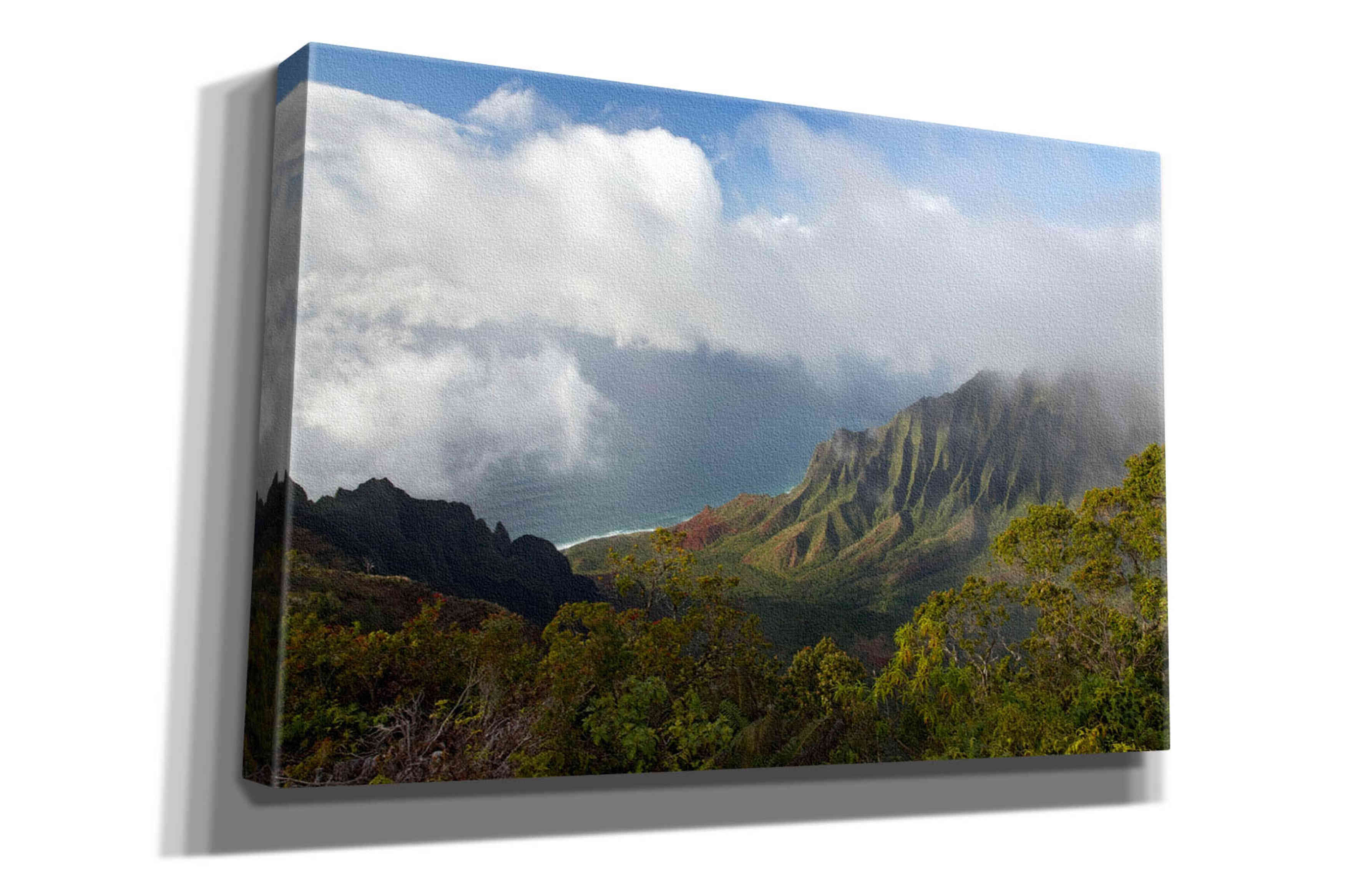 'Kauai Kalalou Canyon' by Mike Jones, Giclee Canvas Wall Art