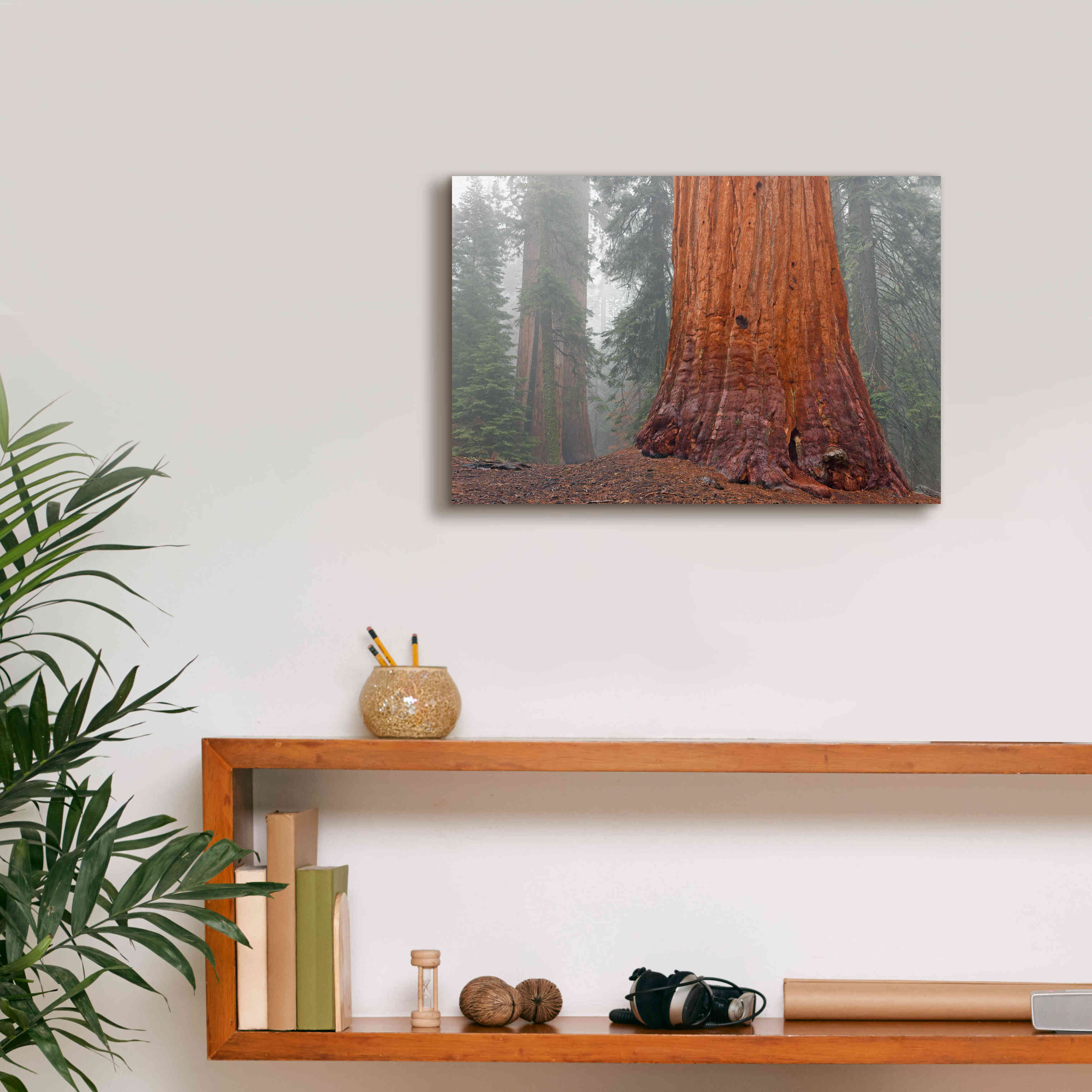 'Kings Canyon' by Mike Jones, Giclee Canvas Wall Art,18 x 12