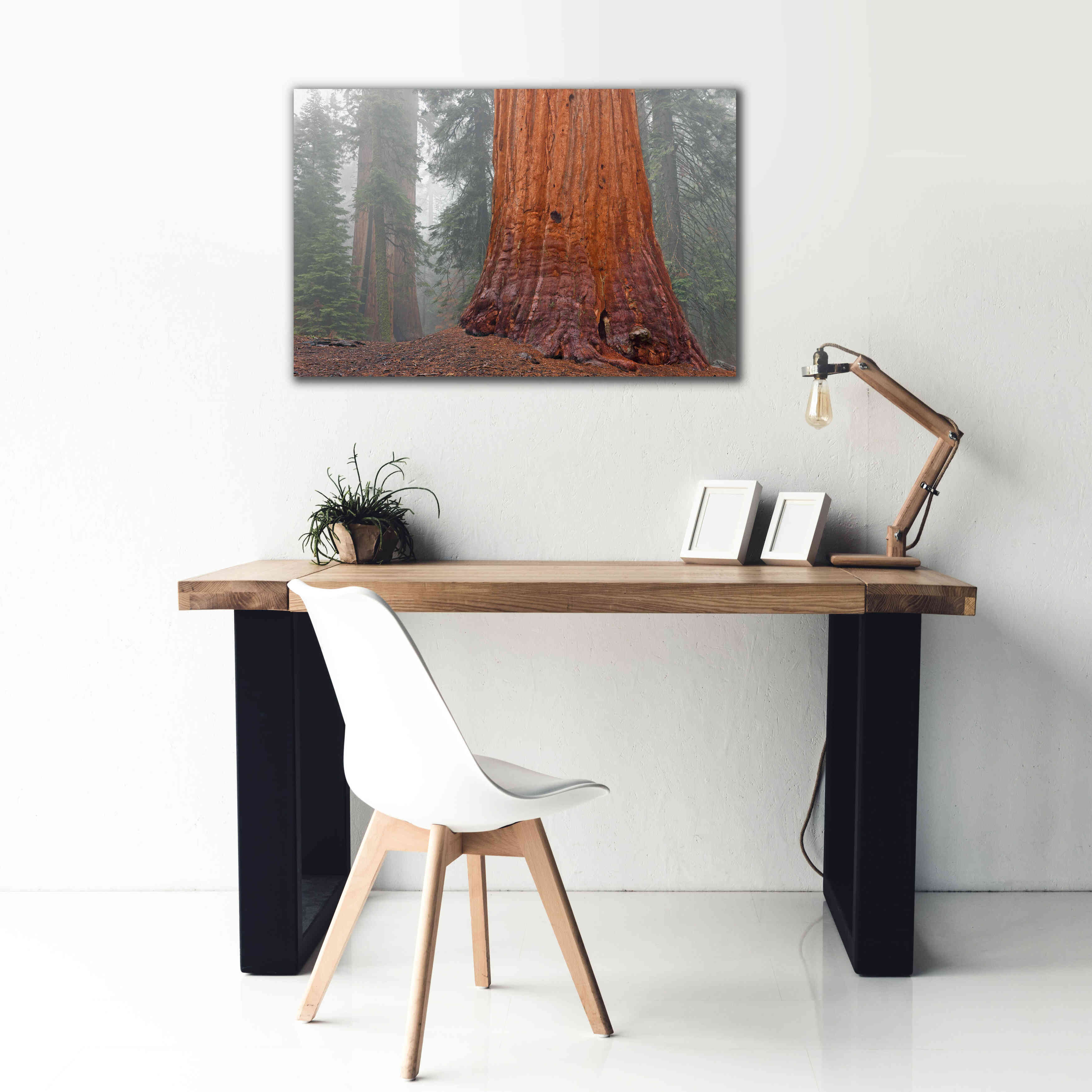 'Kings Canyon' by Mike Jones, Giclee Canvas Wall Art,40 x 26