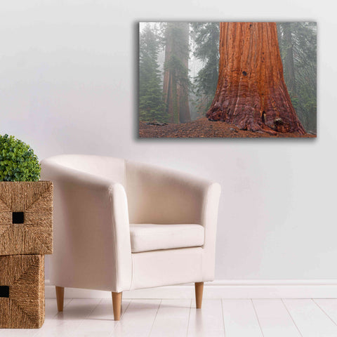 Image of 'Kings Canyon' by Mike Jones, Giclee Canvas Wall Art,40 x 26