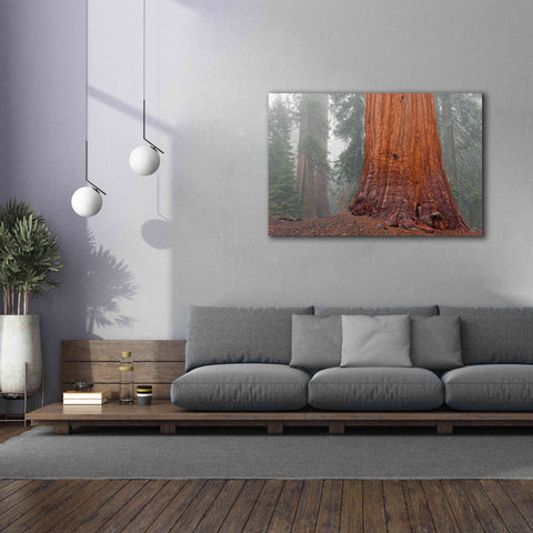 Image of 'Kings Canyon' by Mike Jones, Giclee Canvas Wall Art,60 x 40