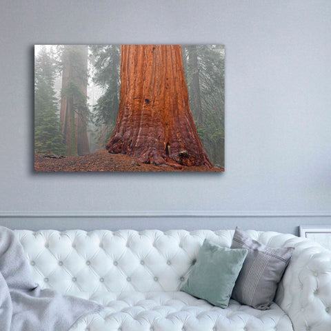 Image of 'Kings Canyon' by Mike Jones, Giclee Canvas Wall Art,60 x 40