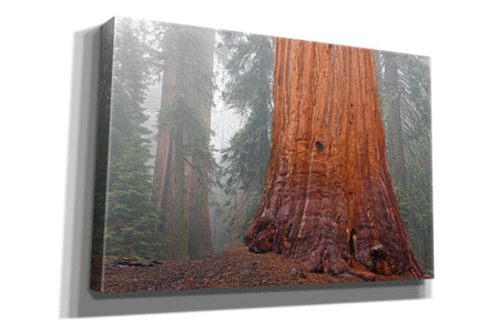 'Kings Canyon' by Mike Jones, Giclee Canvas Wall Art