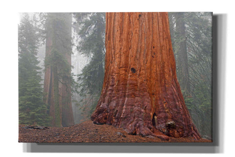Image of 'Kings Canyon' by Mike Jones, Giclee Canvas Wall Art