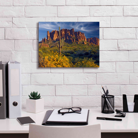Image of 'Lost Dutchman flowers' by Mike Jones, Giclee Canvas Wall Art,16 x 12