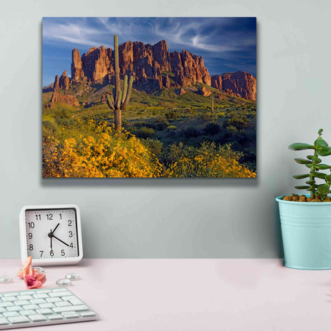 Image of 'Lost Dutchman flowers' by Mike Jones, Giclee Canvas Wall Art,16 x 12