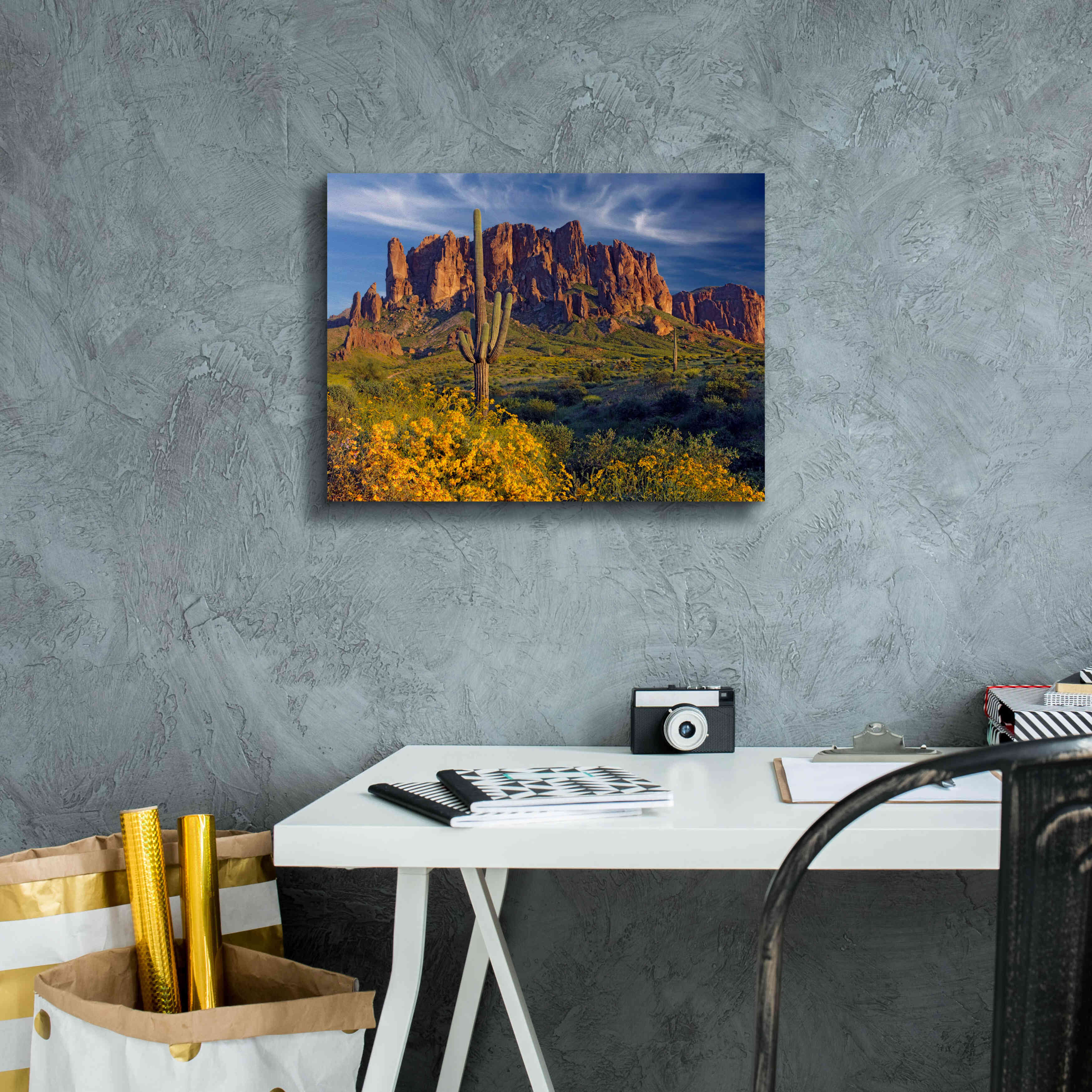 'Lost Dutchman flowers' by Mike Jones, Giclee Canvas Wall Art,16 x 12