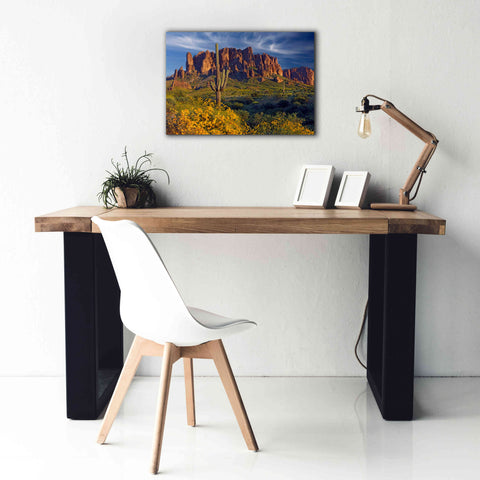 Image of 'Lost Dutchman flowers' by Mike Jones, Giclee Canvas Wall Art,26 x 18