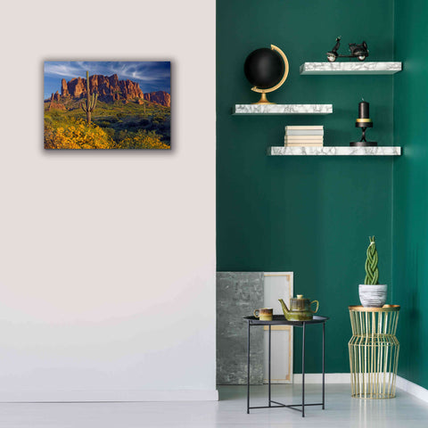 Image of 'Lost Dutchman flowers' by Mike Jones, Giclee Canvas Wall Art,26 x 18
