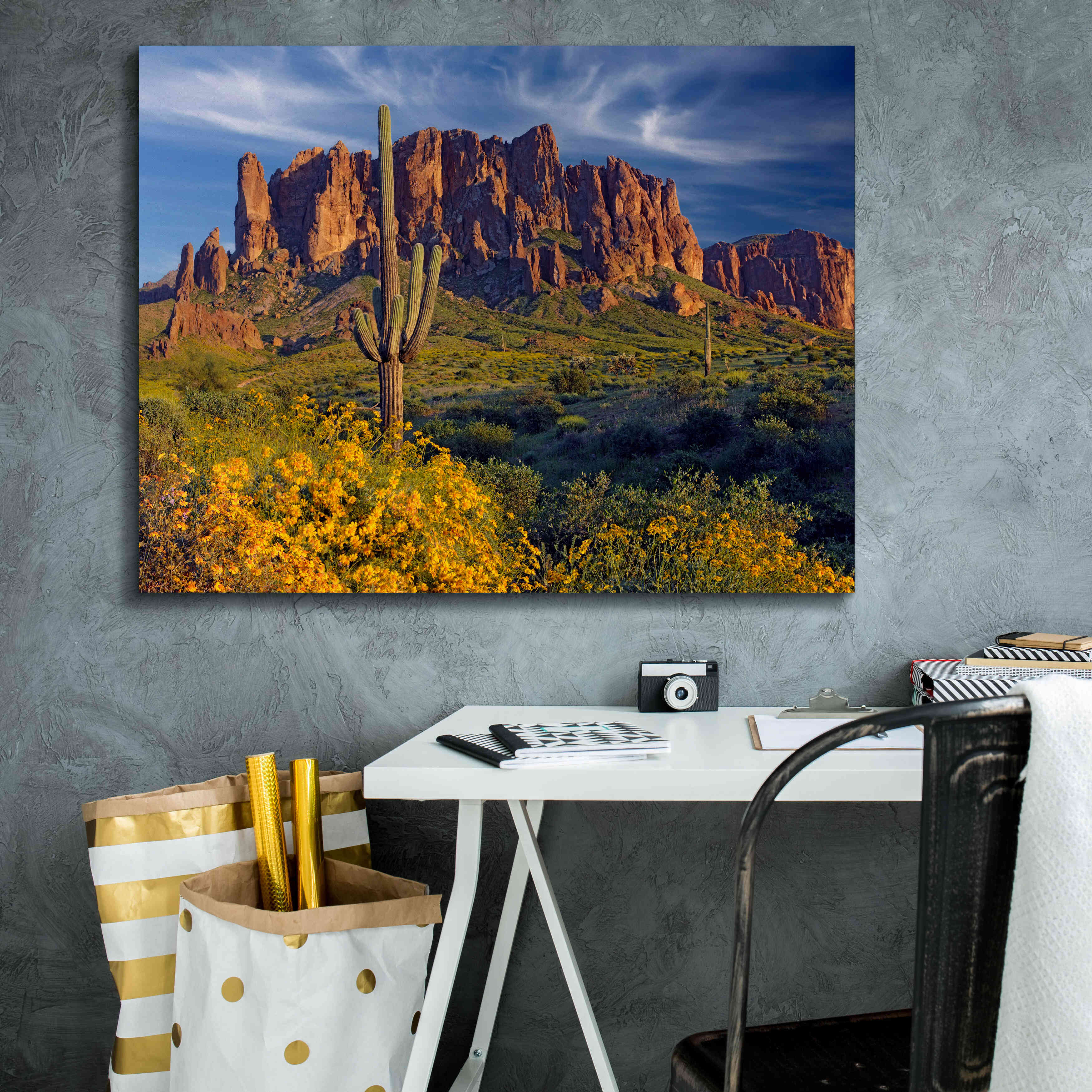 'Lost Dutchman flowers' by Mike Jones, Giclee Canvas Wall Art,34 x 26