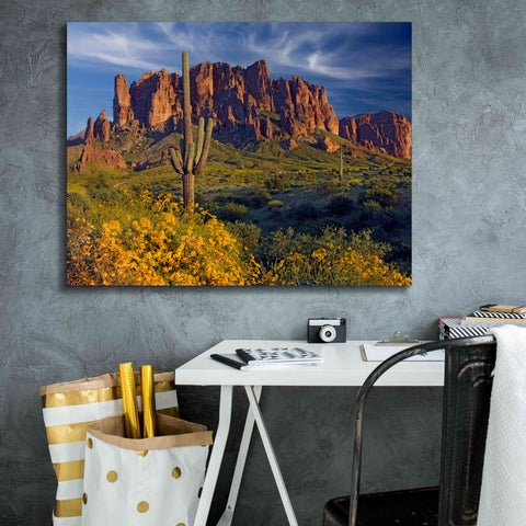 Image of 'Lost Dutchman flowers' by Mike Jones, Giclee Canvas Wall Art,34 x 26
