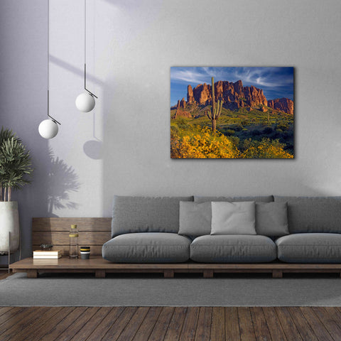 Image of 'Lost Dutchman flowers' by Mike Jones, Giclee Canvas Wall Art,54 x 40