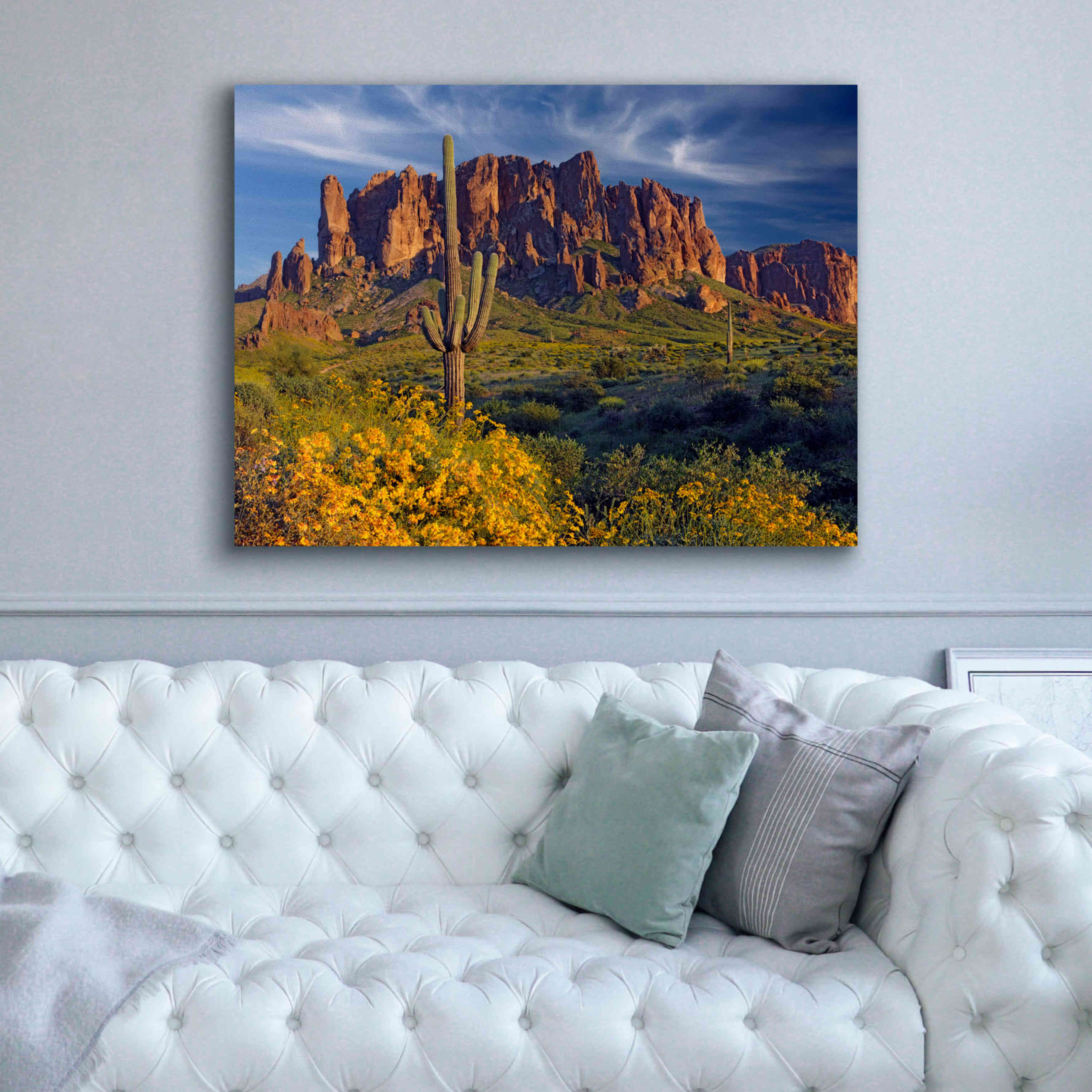 'Lost Dutchman flowers' by Mike Jones, Giclee Canvas Wall Art,54 x 40
