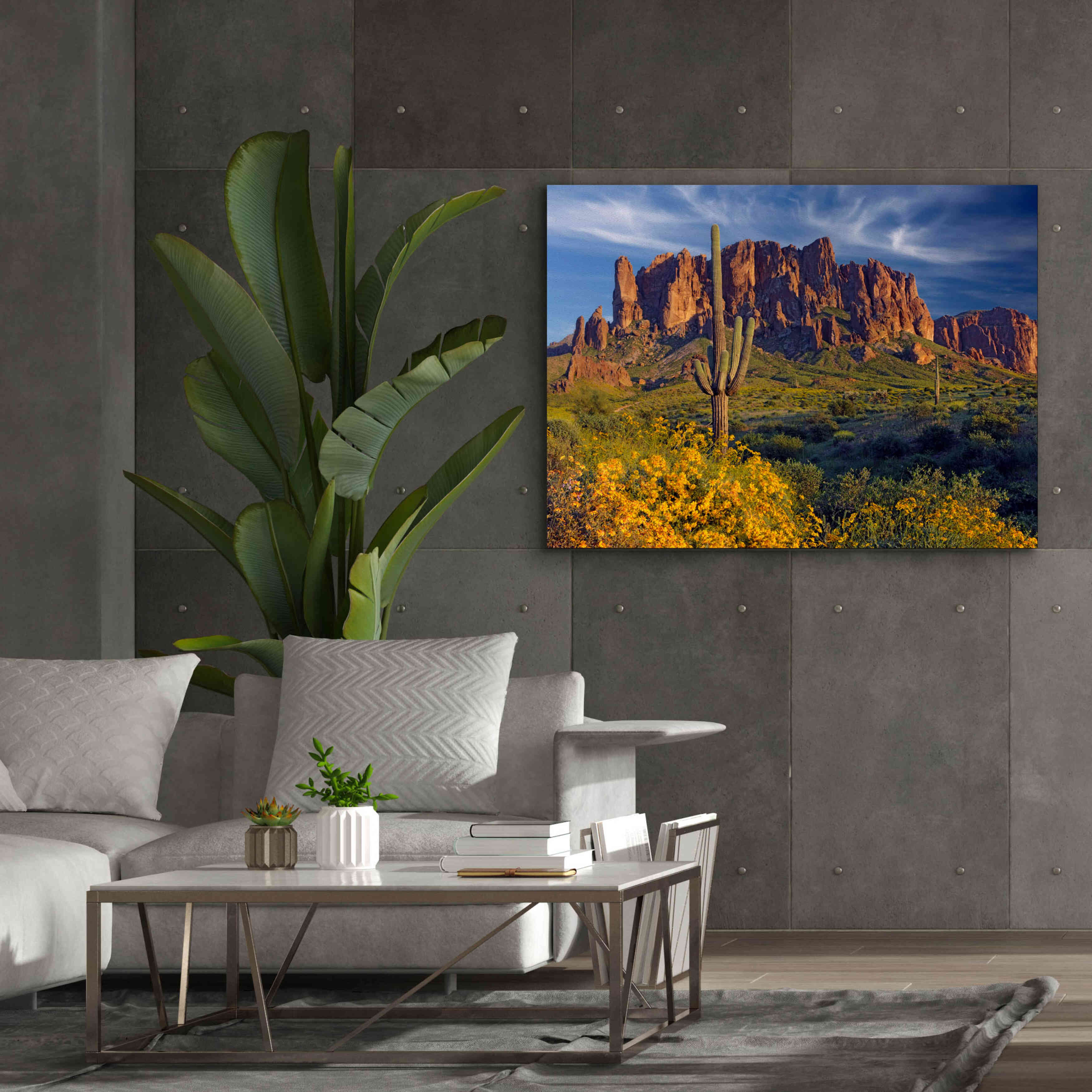 'Lost Dutchman flowers' by Mike Jones, Giclee Canvas Wall Art,54 x 40