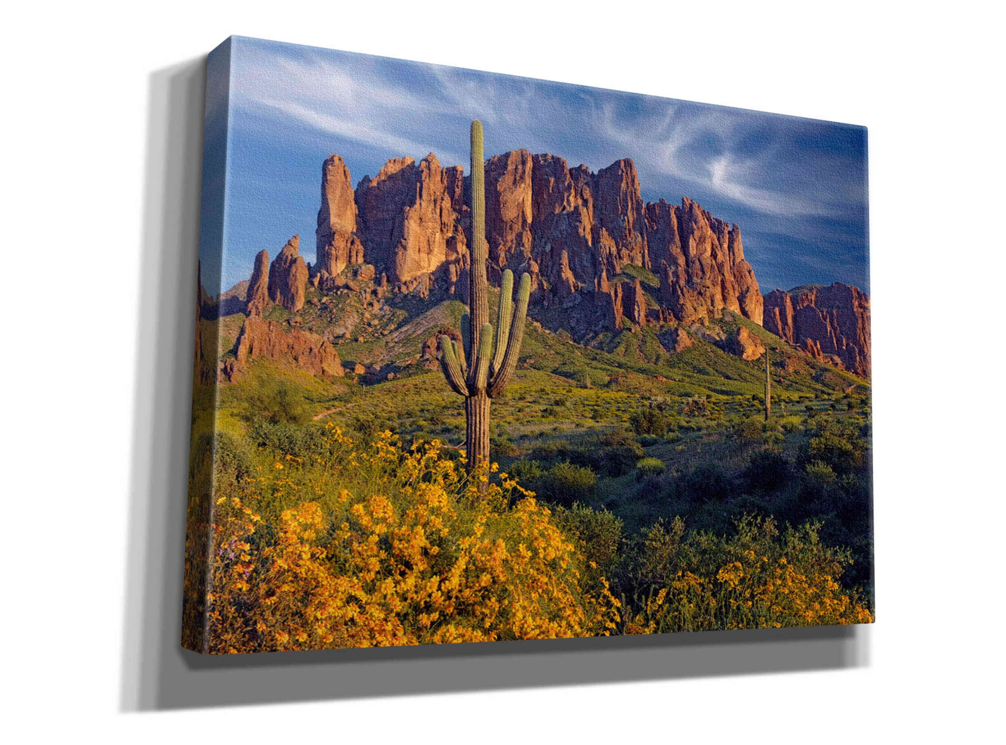 'Lost Dutchman flowers' by Mike Jones, Giclee Canvas Wall Art