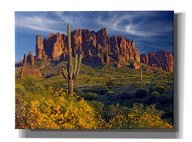 'Lost Dutchman flowers' by Mike Jones, Giclee Canvas Wall Art