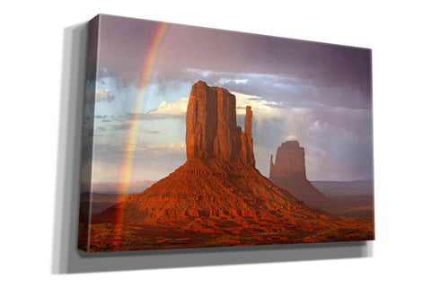Image of 'Mittens Rainbow' by Mike Jones, Giclee Canvas Wall Art