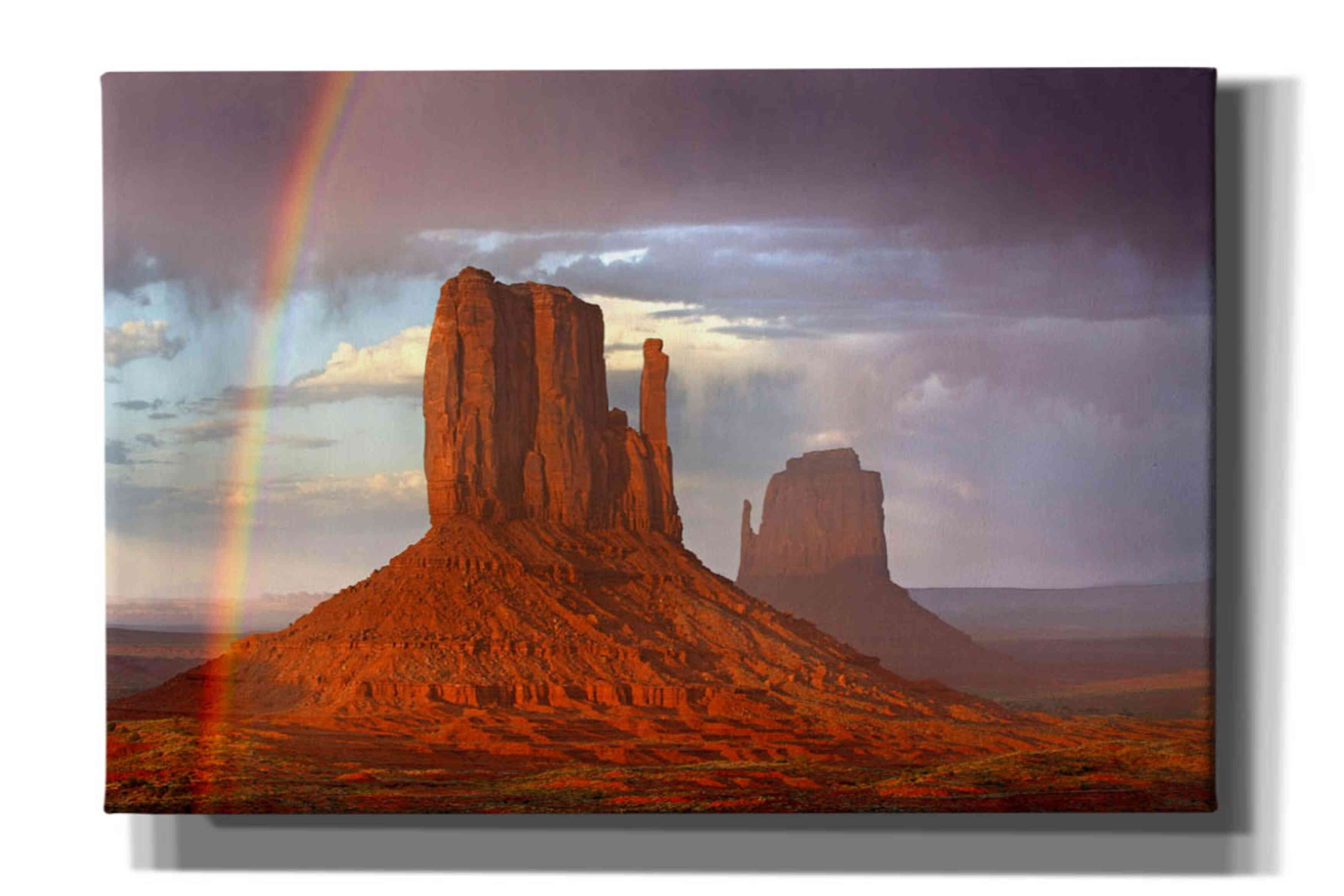 'Mittens Rainbow' by Mike Jones, Giclee Canvas Wall Art