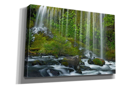 'Mossbrae Falls' by Mike Jones, Giclee Canvas Wall Art