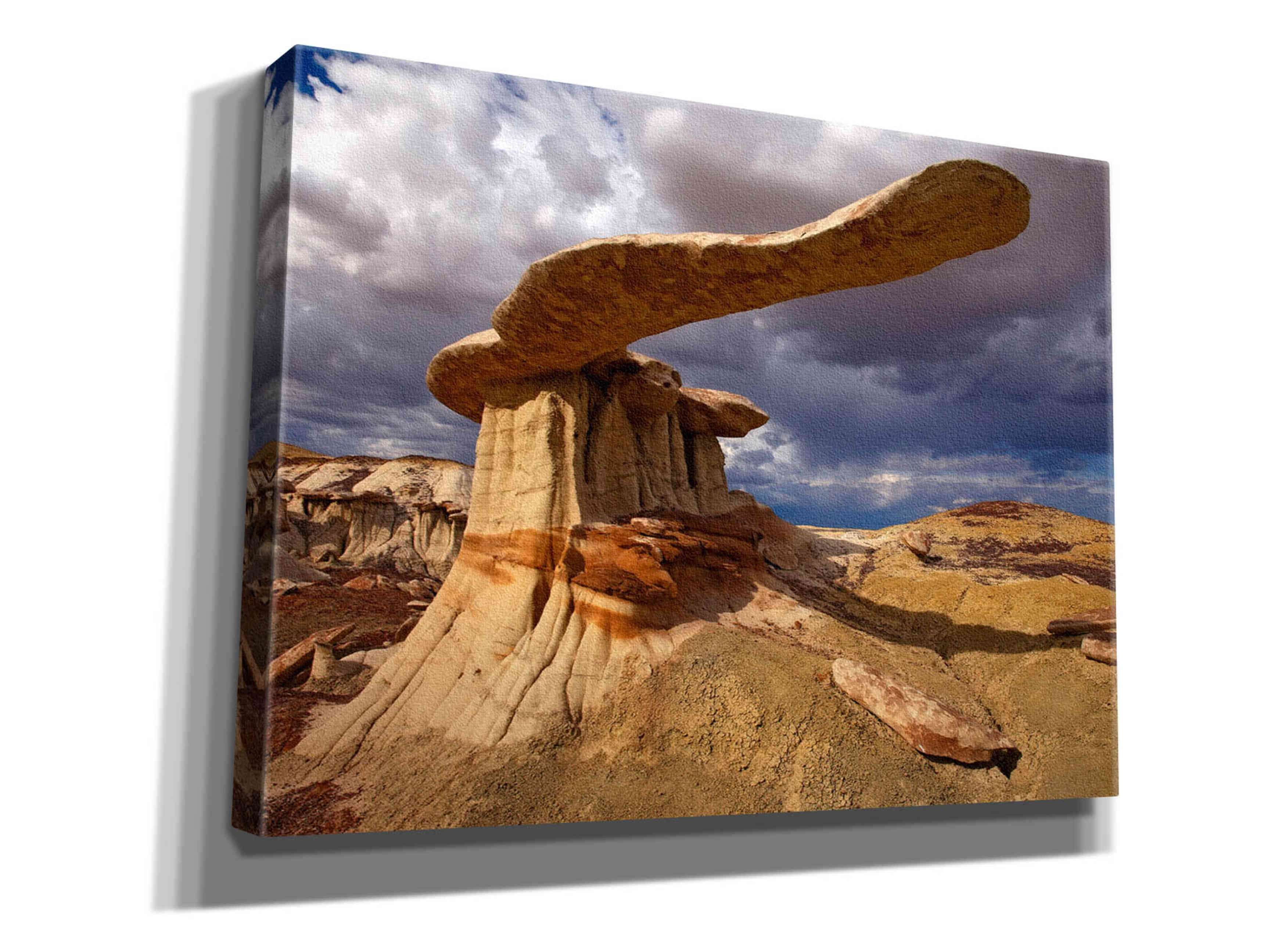 'NM Ahshislepah King Of Wings' by Mike Jones, Giclee Canvas Wall Art