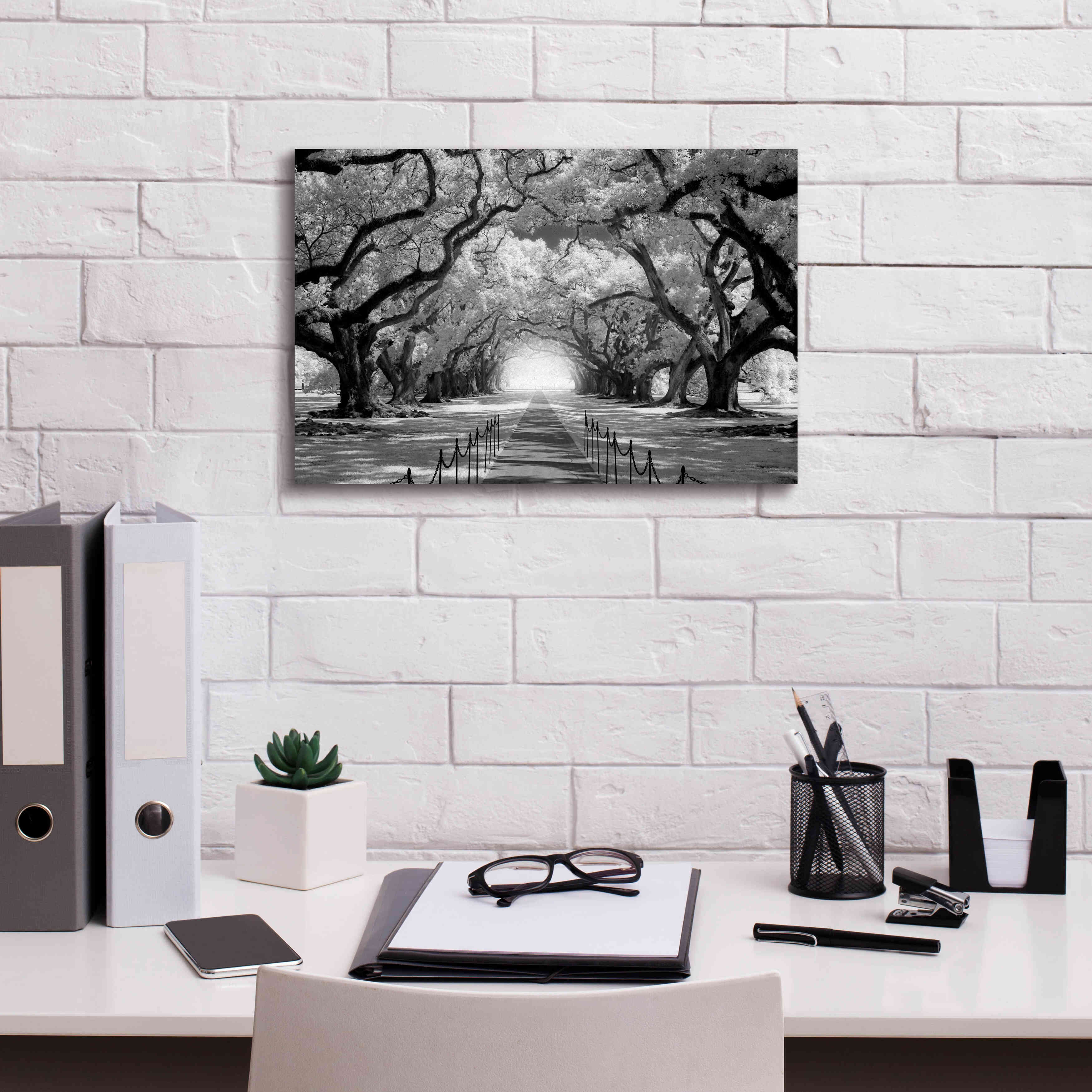 'Oak Alley inf CHECK' by Mike Jones, Giclee Canvas Wall Art,18 x 12