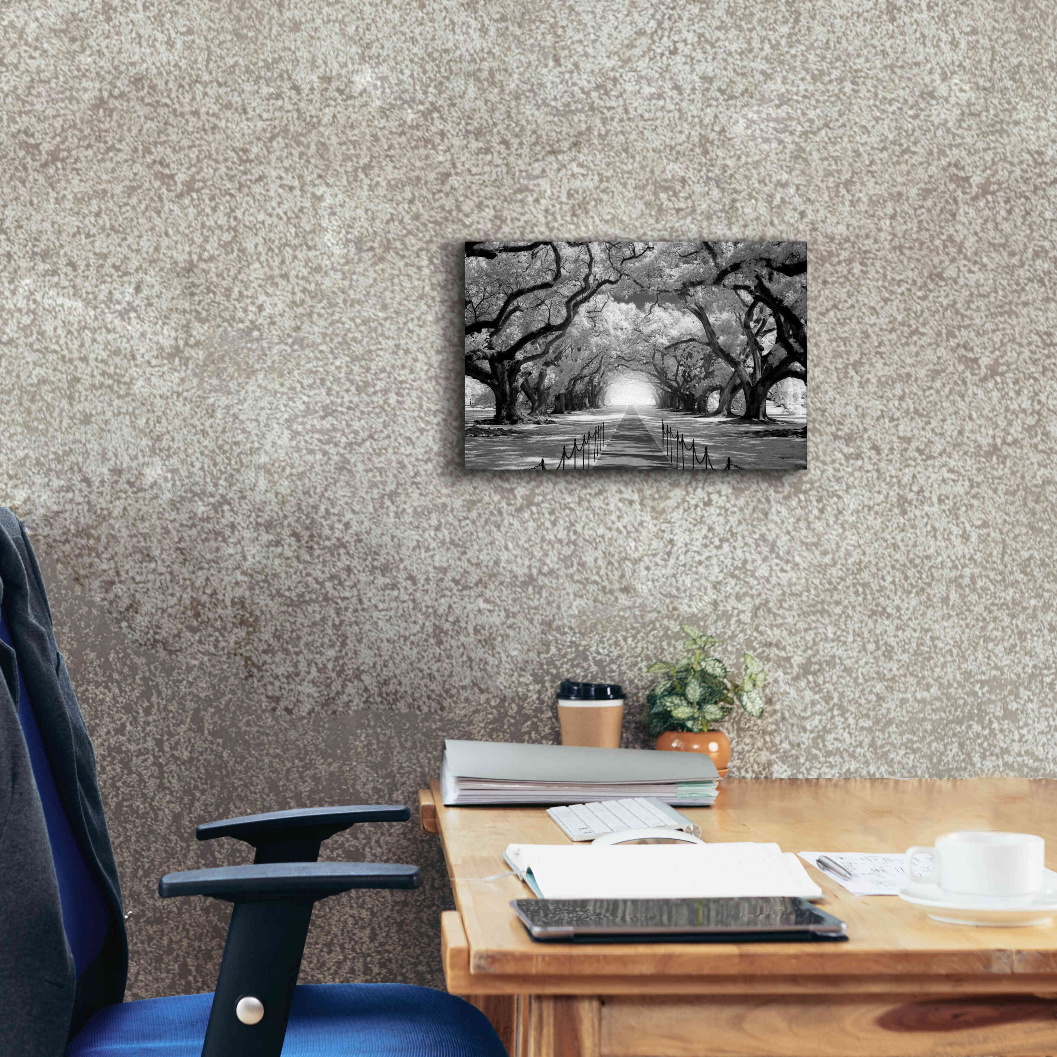 'Oak Alley inf CHECK' by Mike Jones, Giclee Canvas Wall Art,18 x 12