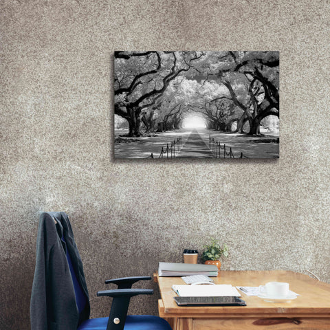 'Oak Alley inf CHECK' by Mike Jones, Giclee Canvas Wall Art,40 x 26