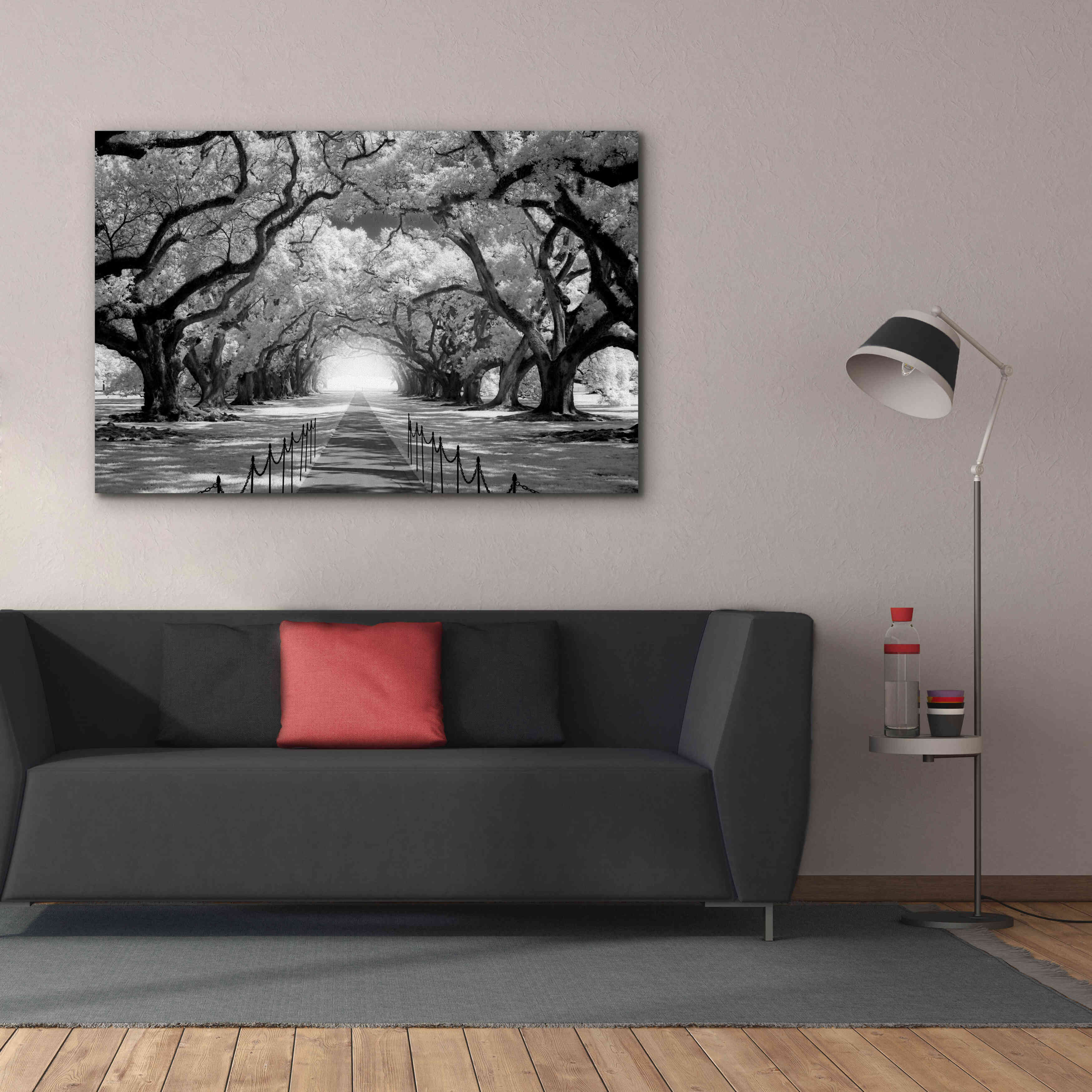 'Oak Alley inf CHECK' by Mike Jones, Giclee Canvas Wall Art,60 x 40