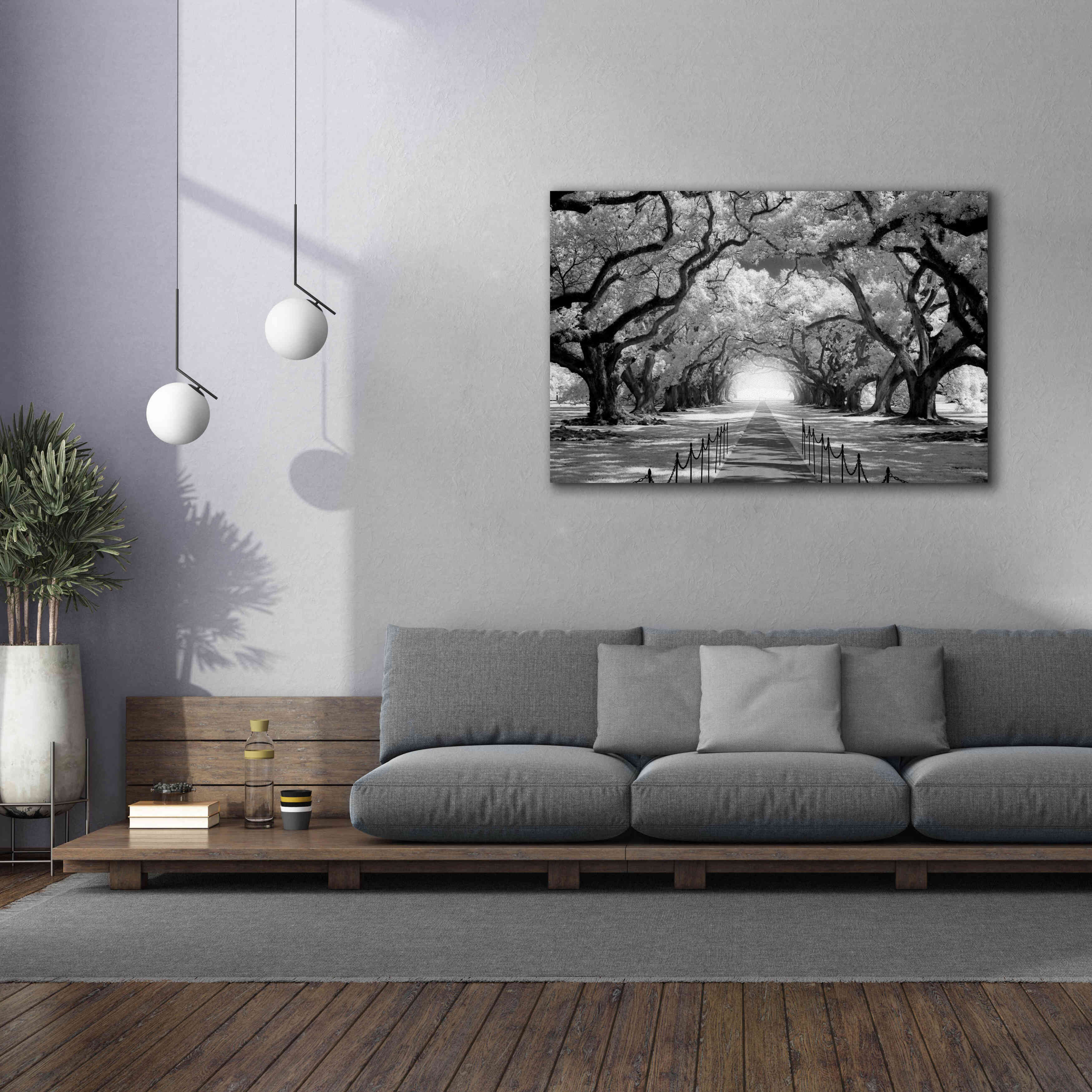 'Oak Alley inf CHECK' by Mike Jones, Giclee Canvas Wall Art,60 x 40